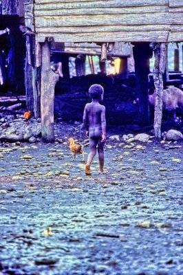 Child In the Mud, With Chicken and Pigs 
