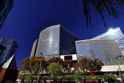 Yurakucho In Winter Light