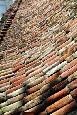 Portuguese Roof 