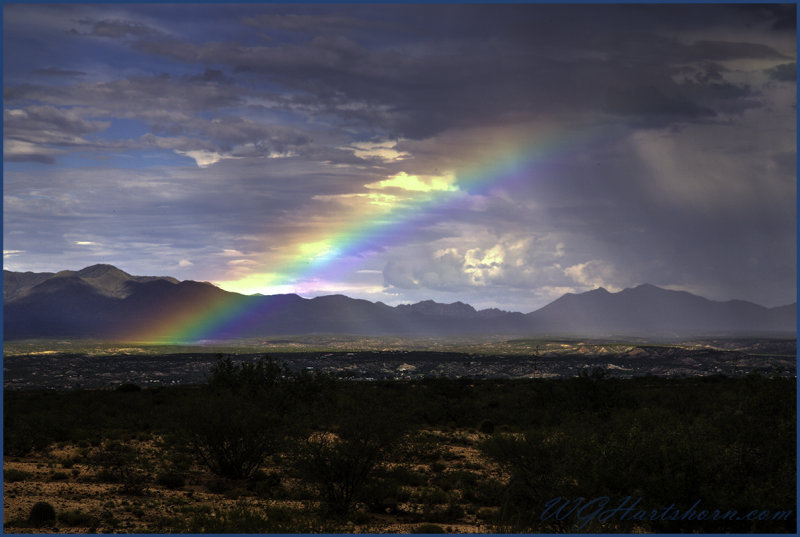 Monsoon Rainbow