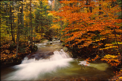 Franconia Notch Creek