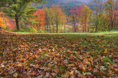 Backroad Stowe