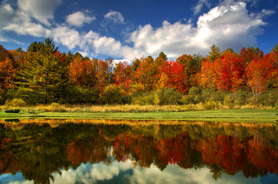  Autumn Reflections