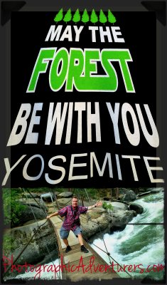 May the Forest Be With You!!!