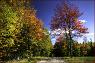 Vermont Backroads
