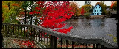 Autumn Creekside