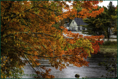 Autumn Splendor Riverside