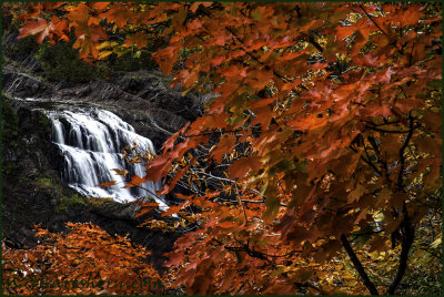Ranney Falls Autumn