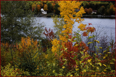 River Autumn Splendor