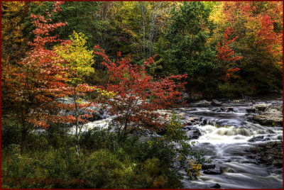 Creekside Autumn Splendor