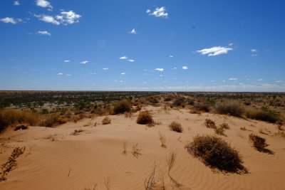 Top of a dune on Madigan Line