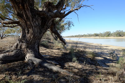 Waterhole on Eyre Creek at Annandale HS