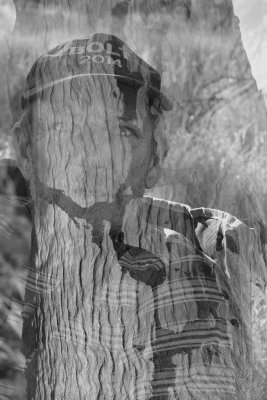 The Gidgee Ghost