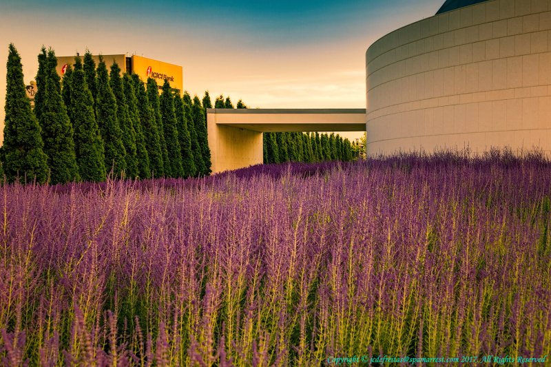 2017 - Aga Khan Museum/Ismaili Centre - Toronto, Ontario - Canada