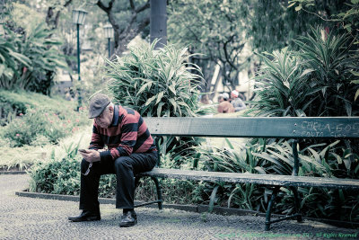 2017 - Texting - Jardim Municipal do Funchal, Madeira - Portugal