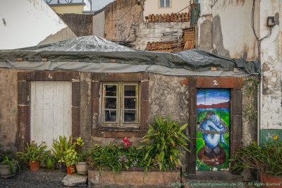 2017 - Painted Doors, Rua Portão de São Tiago - Funchal, Madeira - Portugal