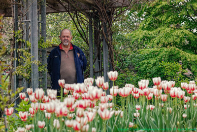 2017 - Ken at Edwards Garden (Canada 150 Tulip) - Toronto, Ontario - Canada