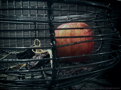 2017 - Apple in the cage (IPad Pro)