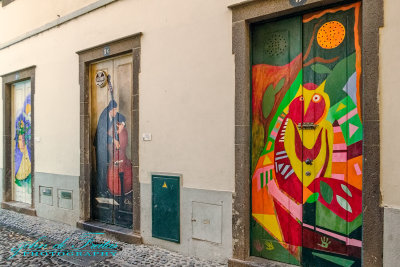 2017 - Rua de Santa Maria, Painted Doors (Arte Portas Abertas) - Funchal, Madeira - Portugal