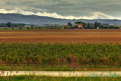 2017 - Casa di Terra Winery - Bolgheri, Tuscany - Italy