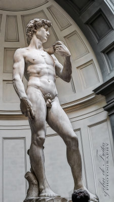 2017 - David - Galleria dell'Accademia di Firenze - Florence, Tuscany - Italy