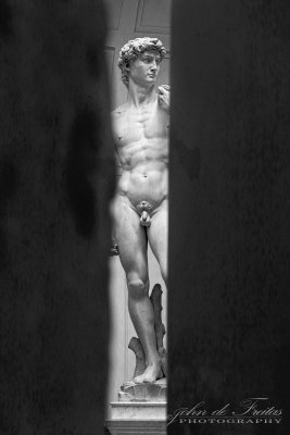 2017 - David - Galleria dell'Accademia di Firenze - Florence, Tuscany - Italy