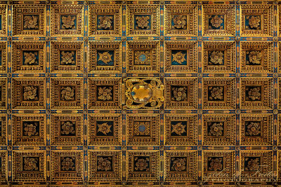 2017 - Pisa Cathedral Ceiling, Tuscany - Italy