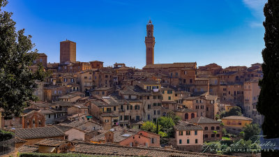 2017 - Siena, Tuscany - Italy