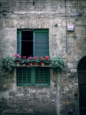 2017 - Siena, Tuscany - Italy