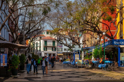 2018 - Rua Dr. António José Almeida - Funchal, Madeira - Portugal