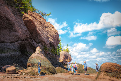 2018 - Seabed - Bay of Fundy, New Brunswick - Canada