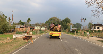 En route vers le Parc National de Kaziranga