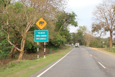En route vers le Parc National de Kaziranga