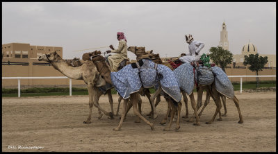 camel race track 1.jpg