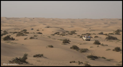 desert drive.jpg