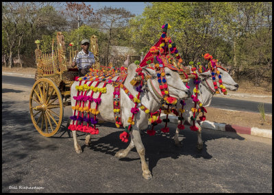 ox cart decorated.jpg