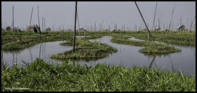 Inle Lake floating gardens.jpg
