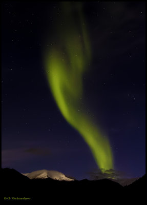 aurora boarealis vertical 2.jpg