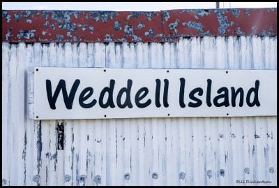 Weddell Island.jpg