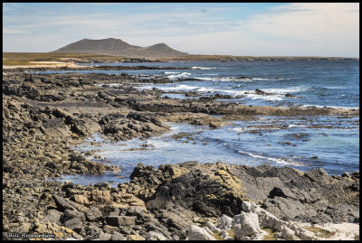 Weddells rocky shore.jpg