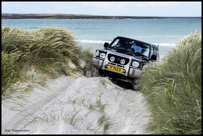 four wheeling sand dunes.jpg