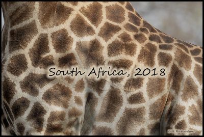 south_africa_august_2018