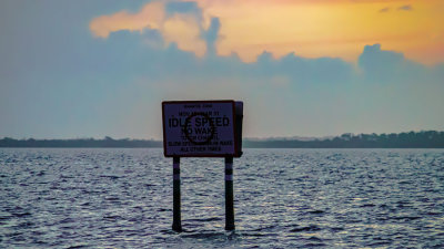 A7r_26712_WhatsYourSign.jpg