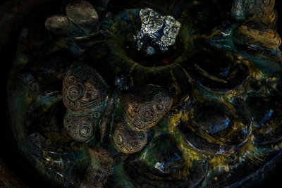 A7r_26933_FountainDecor_001.jpg