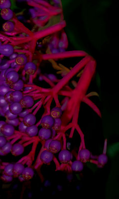 g10/52/2852/3/166792920.lZ74adKV.jpg