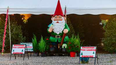 D850_2266_GettingLoadedForChristmas_001.jpg
