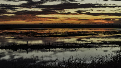 mD52_8857_FineSummerMorning.jpg