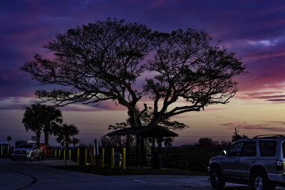 mD52_8924_StillStanding.jpg
