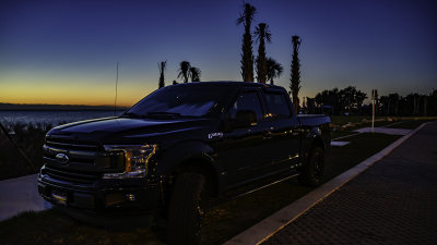 nZ71_1741_GottaLoveThisBlack.jpg