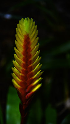 nZ71_1810_IntenselyNatural.jpg